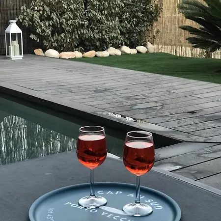 Luxurious Duplex With Pool Garden Balcony