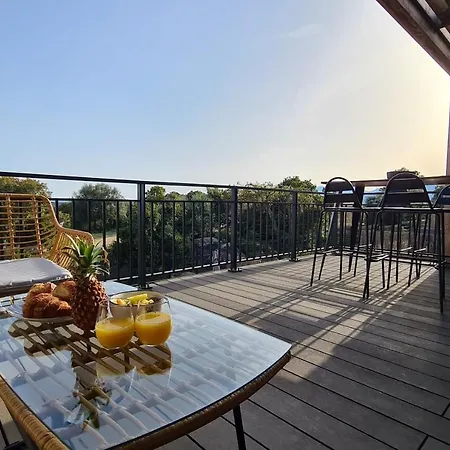 Luxurious Duplex With Pool Garden Balcony