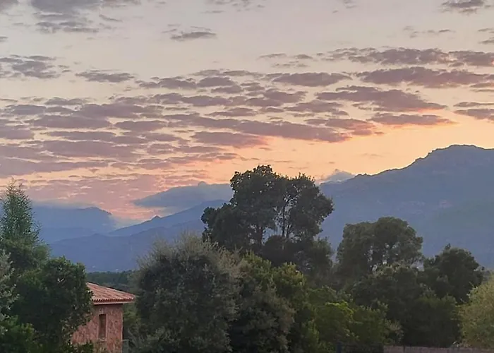 Luxurious Duplex With Pool Garden Balcony *